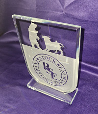 Small Crystal, Shield shaped award, sandblasted.