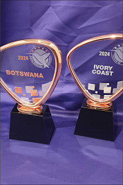 Crystal and Rose Gold Awards