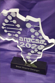 Crystal Africa Shaped Award with deep Cut Sandblasting