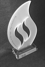 Profile cut Glass Flame shaped awards with cut outs