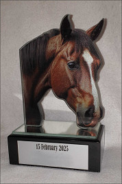Profile Cut Glass Horses Head Award