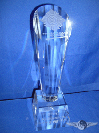 Crystal Champagne Flute Shaped Trophy 