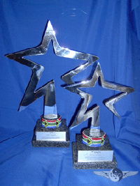 SARS Metal Stars Trophy 