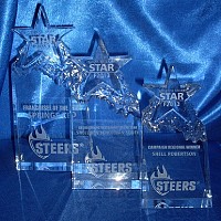 Crystal star Awards Steers