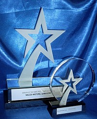 profile cut shooting star awards