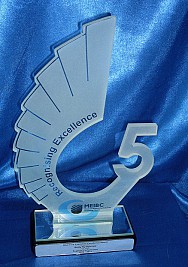 Profile Cut Glass Wing Long Service Award