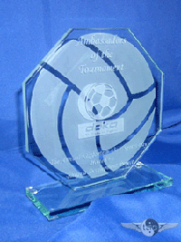 Glass Octagon Sports Trophy 