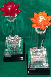 Crystal Protea awards 