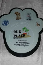 Custom Paw Print wall plaque