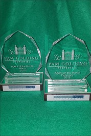 Leaf shaped trophies sandblasted