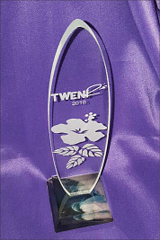 Glass surfboard award