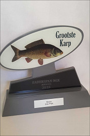 Silver Wood and Glass award for Biggest Carp