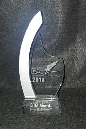 Crystal Award with Silver Curve