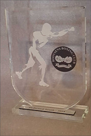 Crystal Shield with boxing graphics