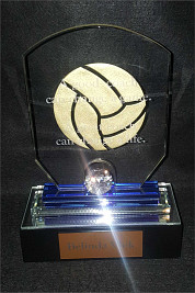 Crystal Octagon award for Netball