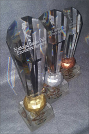 Crystal Fluted Awards with Gold, Silver and Bronze Detail