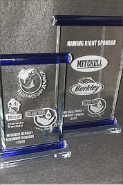 Blue Scroll Awards