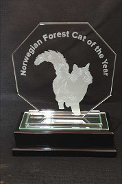 Crystal Octagon Award, Sandblasted.