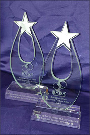 Profile cut glass Star awards with silver stars